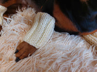 5 color Angora wool dog leggings, dachshund leggings, warm dog paws, warm dachshund paws, dog clothes leggings, dachshund clothes leggings