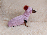 Costume for mini dachshund or small dog knitted sweater and hat