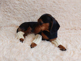 5 color Angora wool dog leggings, dachshund leggings, warm dog paws, warm dachshund paws, dog clothes leggings, dachshund clothes leggings