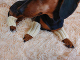 5 color Angora wool dog leggings, dachshund leggings, warm dog paws, warm dachshund paws, dog clothes leggings, dachshund clothes leggings