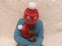 Angora Wool Christmas Gifts and Reindeer in Mom and Dog Hat Set, Housewife and Pet Hat Set, Dog Lover Gift