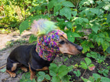 Handmade Dachshund Beanie, Knitted Dog Snood with Pom Pom, Winter Puppy Hat, Small Pet Ear Warmer, Custom Dog Apparel