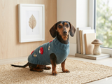 Halloween costume sweater with fly agaric mushrooms and bees for dog