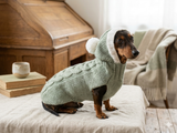 Hooded Dog pet Sweater, Sweater with hood for dachshund or small dog, sweatshirt knitted for dog