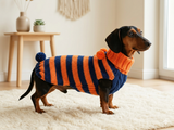 Bee jumper halloween for pets, bee hoodie for dogs, bee clothes for mini dachshund