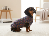 Knitted sweater for dogs, clothes for dachshunds, sweater for dogs, clothes for dogs, sweater for small dogs, dachshund sweater