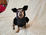 Bat Dog Costume, Knitted Puppy Halloween Outfit, Cute Vampire Bat Hoodie with Wings and Ears, Small Dog and Dachshund Apparel