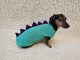 Custom Knitted Dinosaur Outfit for Dachshund – Winter Dog Apparel