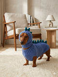 Dragon Dinosaur Winter Dog Clothes Costume Jumper and Hat