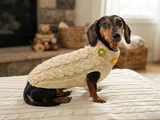 Handmade Cable Knit Dachshund Sweater | Warm Dog Clothes)