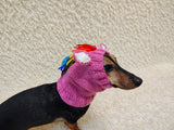Handmade Knitted Unicorn Dog Snood with Rainbow Mane & Ears