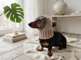 Alpaca Wool Dog Hat With Pompom