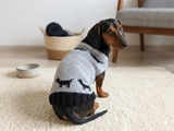 Clothes for a dachshund or small dog knitted winter wool warm jumper with a pattern