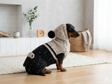 Pet Clothes Warm Alpaca Coat Knitted Vest Sweater Coat Dog Hoodie Clothing Hoody for Photo Props or Dog Gift