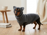 Wolf costume for dog