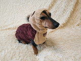 Sweatshirt winter coat for dogs, jumper for dachshunds, hoodies for pets