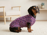 Knitted sweater for dogs, clothes for dachshunds, sweater for dogs, clothes for dogs, sweater for small dogs, dachshund sweater