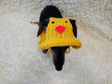 Duck Summer sun hat dogs with holes for ears. Hand knitted sun cap dachshund. Stylish Pet Photo Props and Gift Dog Moms