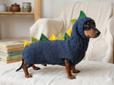 Dragon Dinosaur Costume for Dog Sweater and Hat,Halloween Dinosaur Costume for Dogs Dinosaur Dragon Costume Sweater and Hat Zoo Animal Clothes