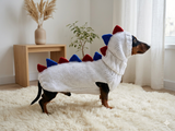 Patriotic Dinosaur Outfit Sweater and Hat Set for Dogs