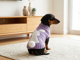 Easter clothes with a bunny rabbit for pet dog sweater with a bunny with a pompom