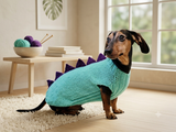 Custom Knitted Dinosaur Outfit for Dachshund – Winter Dog Apparel