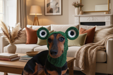 Frog dog hat,frig dog cloches hat snood