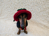 Strawberry Panama Dog Hat Summer Open Ear Hat for Dachshund Pet Clothes Photo Shoot Gift for Dog Mom