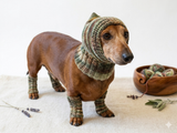 Camouflage kit hat and leggings for dogs, Military kit for dachshunds