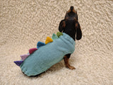 Custom Blue Knit Dogs Dinosaur Sweater with Rainbow Spikes - Warm Handmade Pet Clothes Halloween outfit pet Dino Rex jumper dachshund