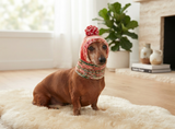 Christmas knitted hat dog, dog hat, winter hat, dachshund hat