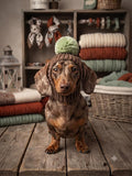 9 color Handmade Knit Dog Hat with Ear Holes – Warm Wool-Blend Winter Beanie & Snood for Dachshunds and Small to Medium Pets –Cute Puppy Pom Pom Cap