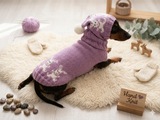 Dog costume with rabbits, sweater and hat set for dachshund with rabbit or hare