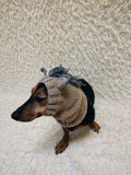 Knitted Donkey Snood Hat for Dachshund - Handmade Dog Costume with Ears and Mane
