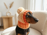 Dog hat with pom poms wool, warm hat for dachshund, wool hat for small dogs