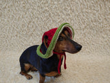 Watermelon Dog Bucket Hat, summer panama cap with open ears dachshund, pet clothes photo shoot gift dog's mom