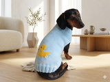 Clothes for a dachshund or small dog knitted winter wool warm jumper with a pattern