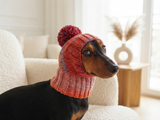 Dog hat with pom poms wool, warm hat for dachshund, wool hat for small dogs