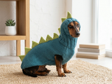 Dragon Dinosaur Winter Dog Clothes Costume Jumper and Hat