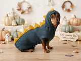 Dachshund hoodie dinosaur knitted animal clothes for pets, dog Halloween outfit Costume
