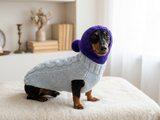 L Winter wool coat with hood for dachshund or small dog