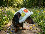 Crochet Dog Sun Hat with Flower Appliqué - Handmade Dachshund Bucket Hat - Floral Pet Summer Accessory - Cute Dog Bonnet with Ear Holes