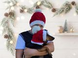 Matching Santa Dog and Owner Beanie Set: Angora Wool Blend