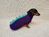 Knitted Dinosaur Costume for Dogs - Custom Dachshund Sweater