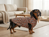Wool dog jumper,dachshund cloches wool sweater