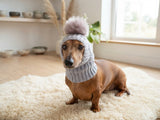 Hat for small dog with big pompom rabbit