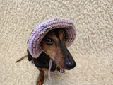 Crochet Dog Sun Hat with Flower Appliqué - Handmade Dachshund Bucket Hat - Floral Pet Summer Accessory - Cute Dog Bonnet with Ear Holes