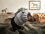 Knitted Donkey Snood Hat for Dachshund - Handmade Dog Costume with Ears and Mane