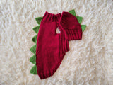 Dinosaur Dog Sweater and Hat Set – Handmade Knitted Pet Costume