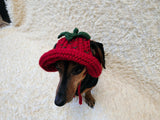 Strawberry Panama Dog Hat Summer Open Ear Hat for Dachshund Pet Clothes Photo Shoot Gift for Dog Mom